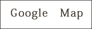 google icon